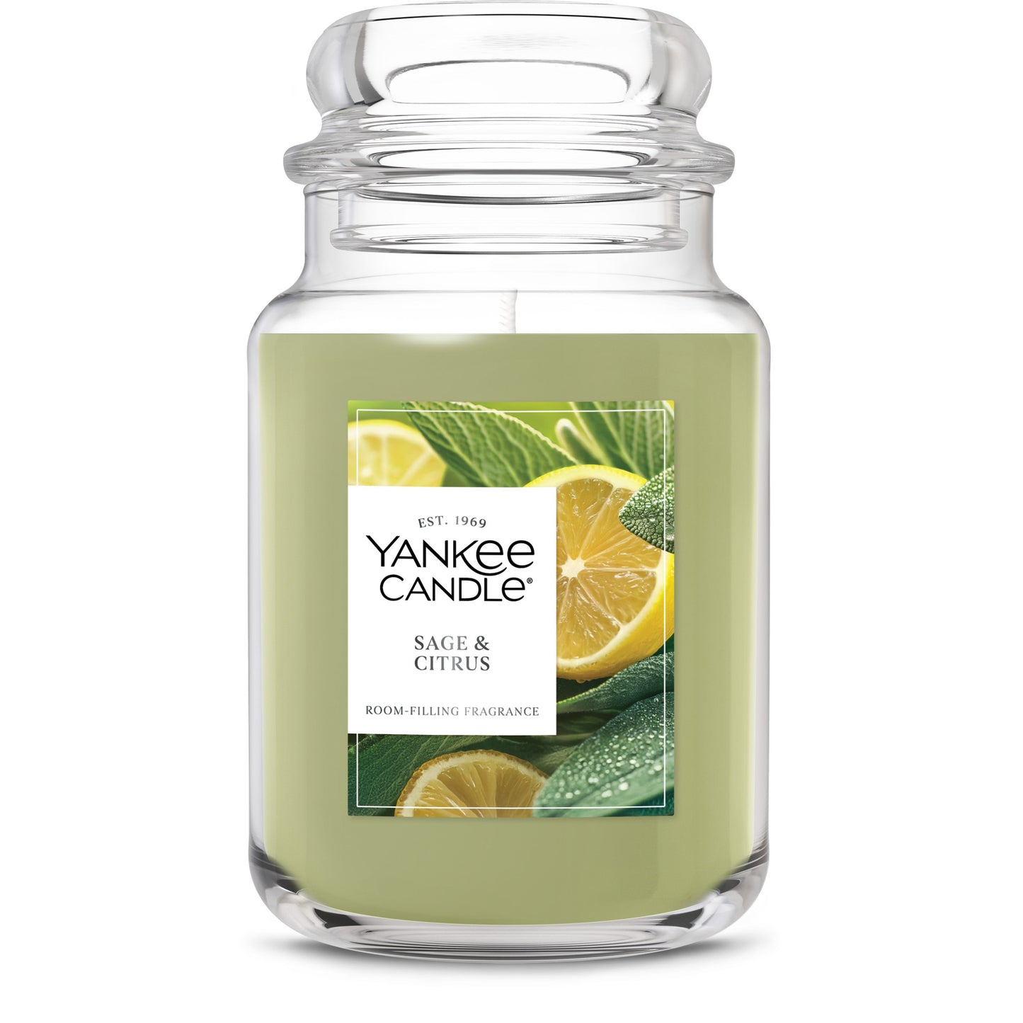 Sage & Citrus Studio 4-0662