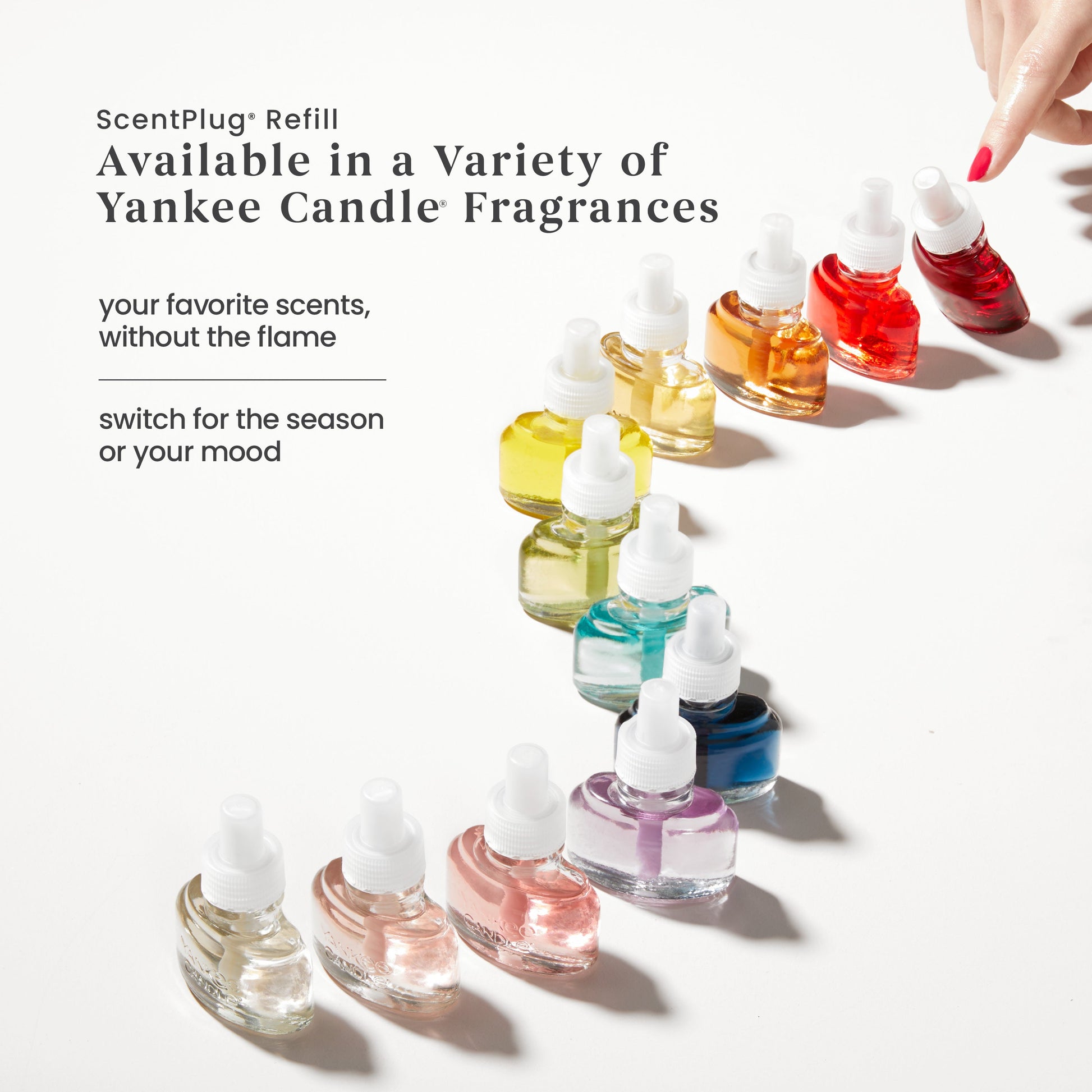 Wild Orchid